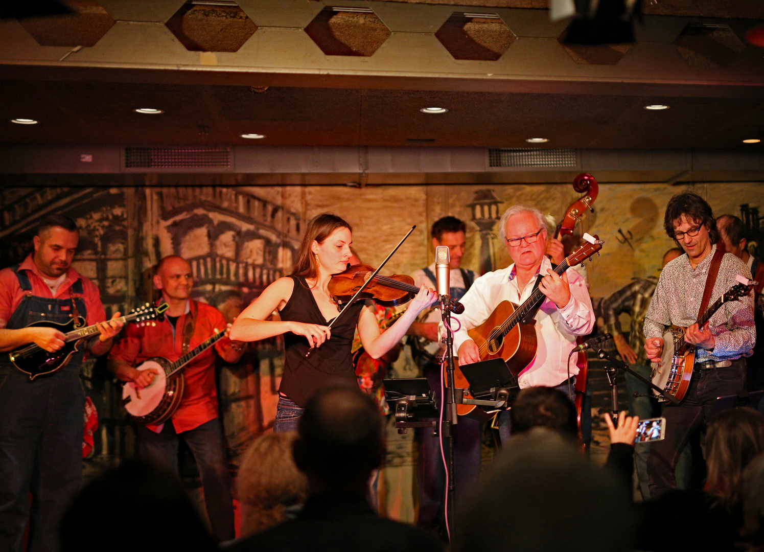 Bluegrass-Night 20.1.2018, Mahogany Hall Bern, Bluegrass Jam