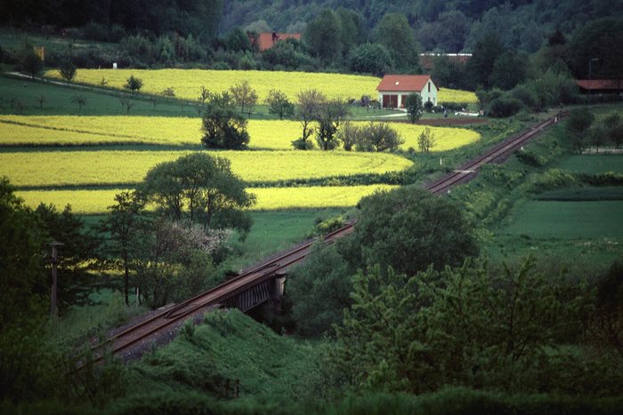 Blühende (Bahn)Landschaft