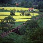 Blühende (Bahn)Landschaft