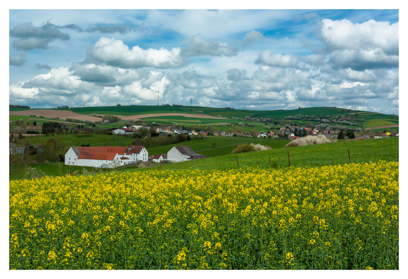 Blühende Felder