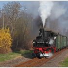 Blühende Forsythie an der Oschatzer Bahnhofsausfahrt