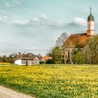 Blühende Landschaft