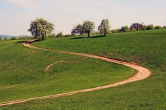 Blühende Landschaft - 2 -