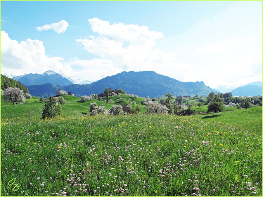 Blühende Landschaft 2