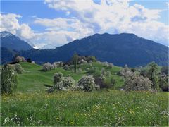 Blühende Landschaft