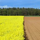 blühende Landschaft