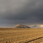 Blühende Landschaft