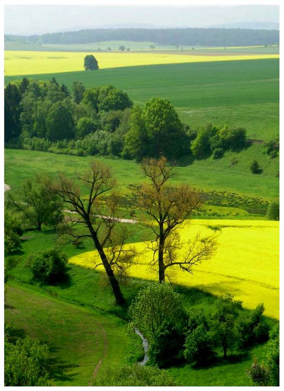 blühende Landschaft