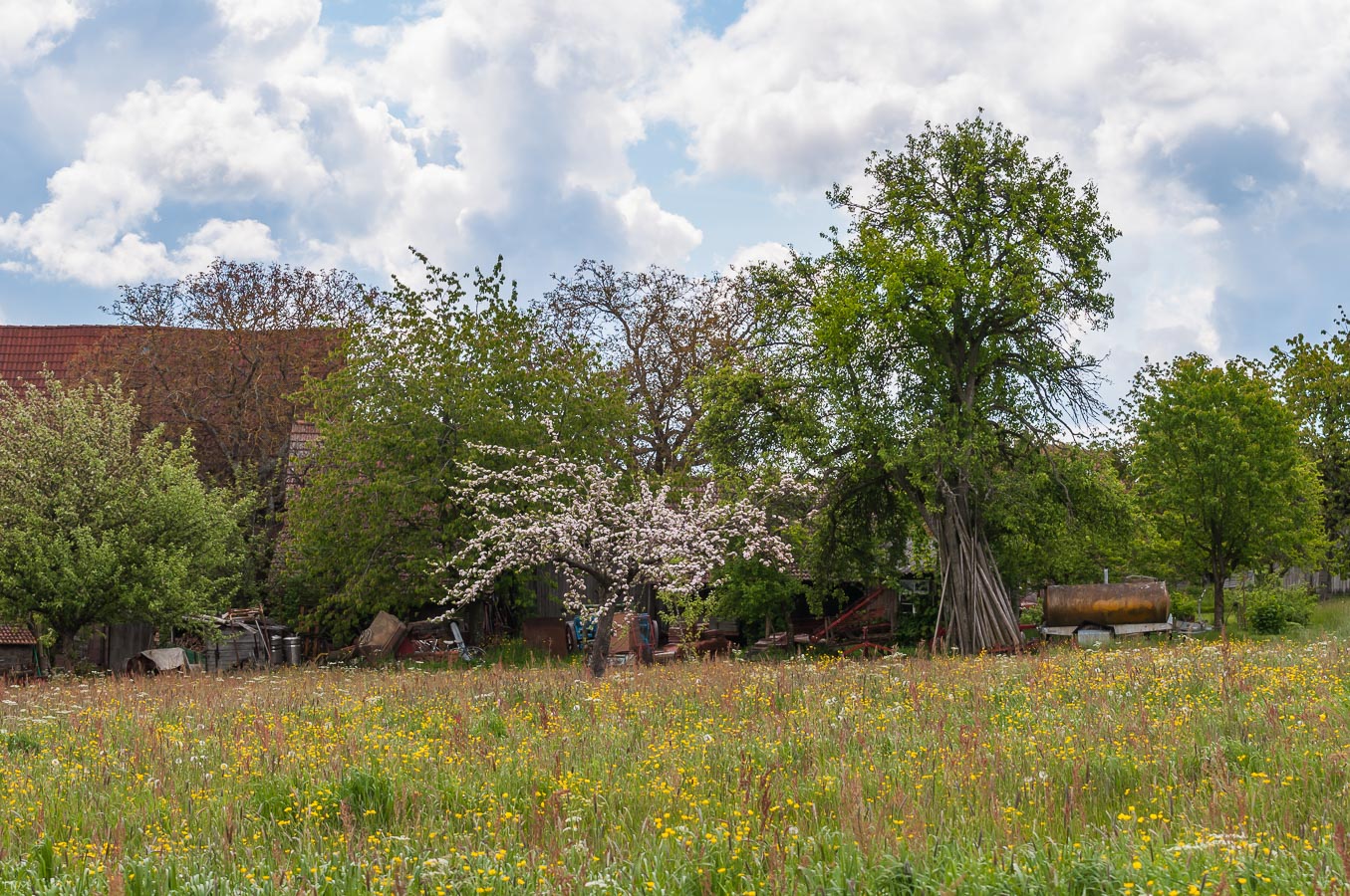 Blühende Landschaft