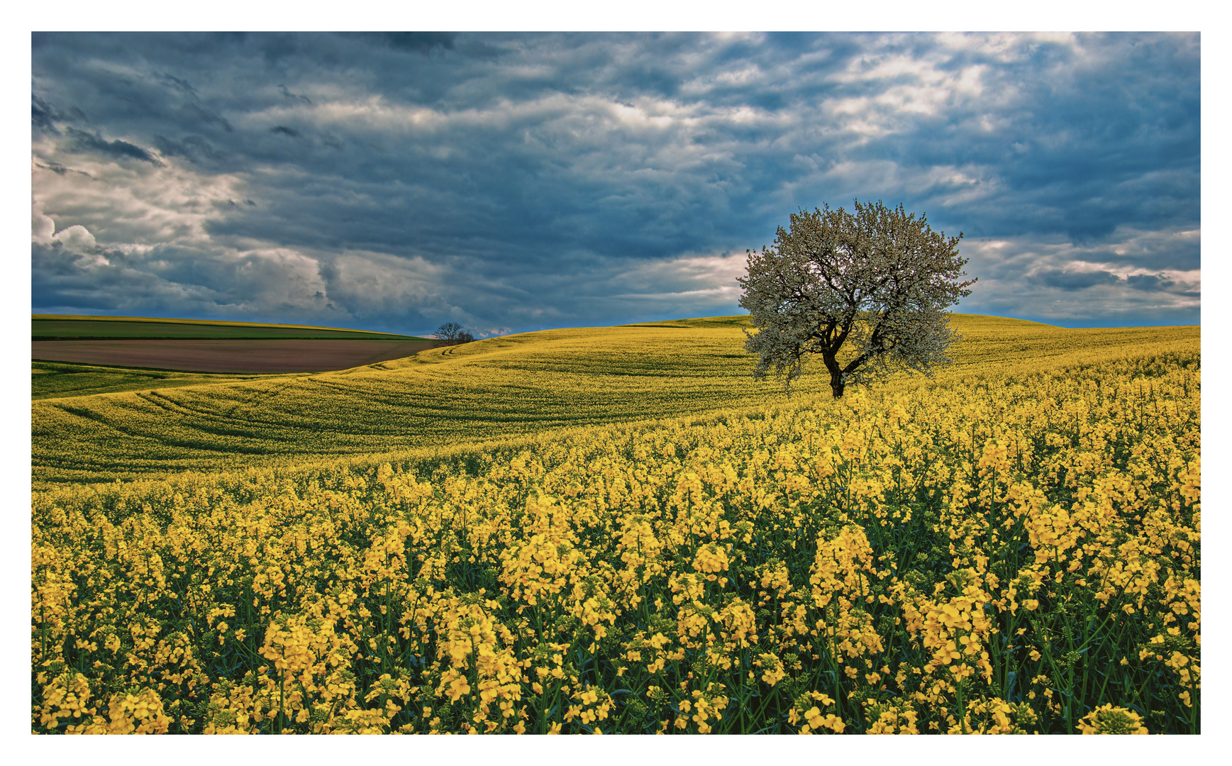 Blühende Landschaft