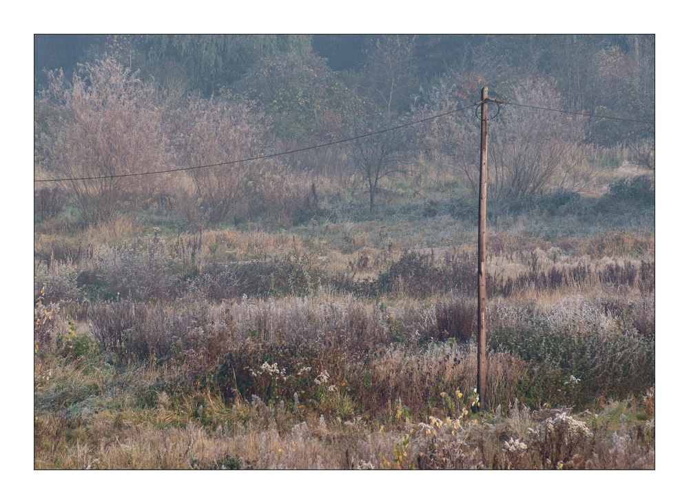 Blühende Landschaft