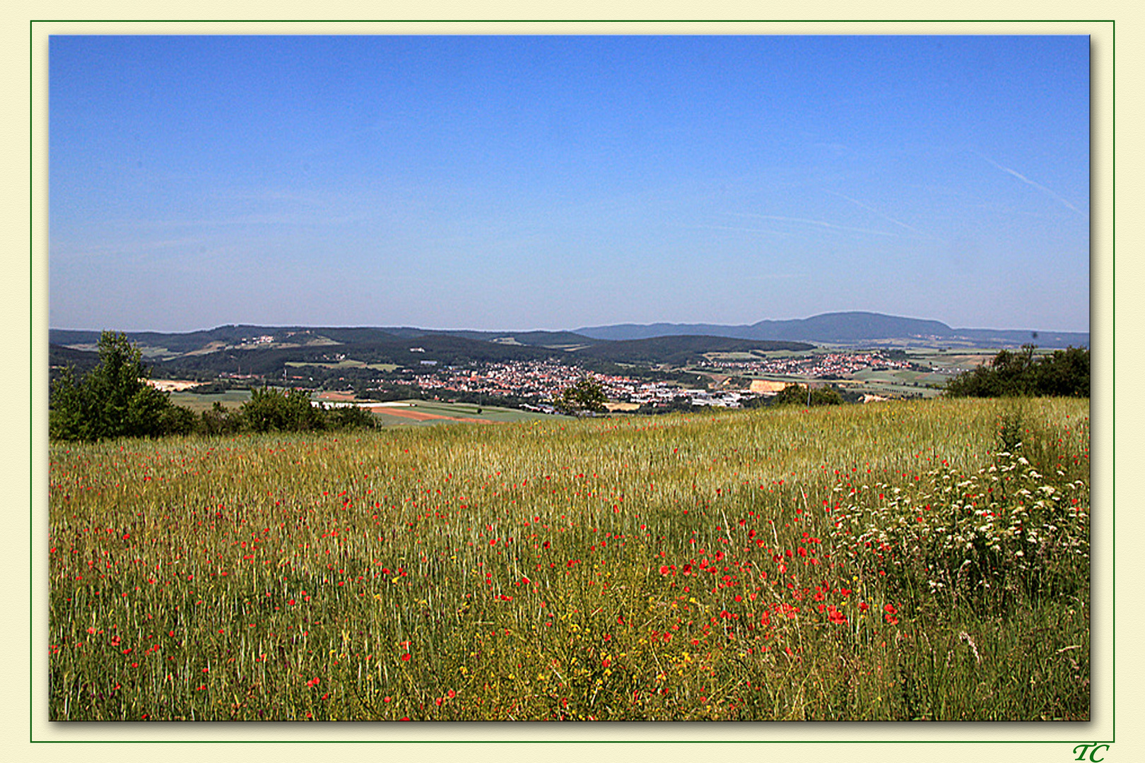 BLÜHENDE LANDSCHAFT