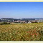 BLÜHENDE LANDSCHAFT