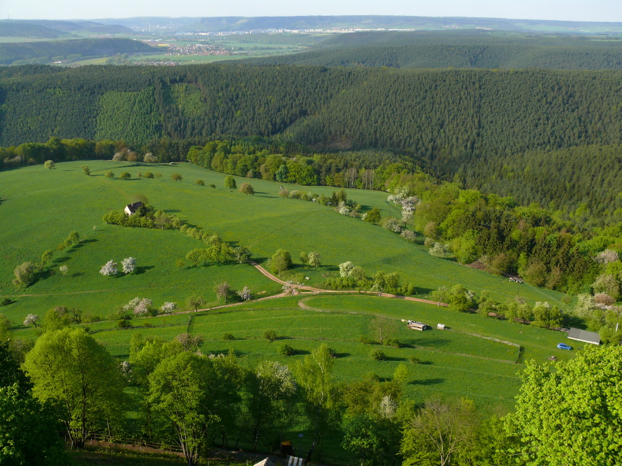 Blühende Landschaft