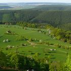 Blühende Landschaft