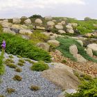 blühende Landschaft