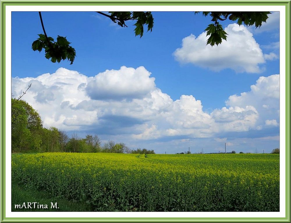 Blühende Landschaft (mit Gedicht)