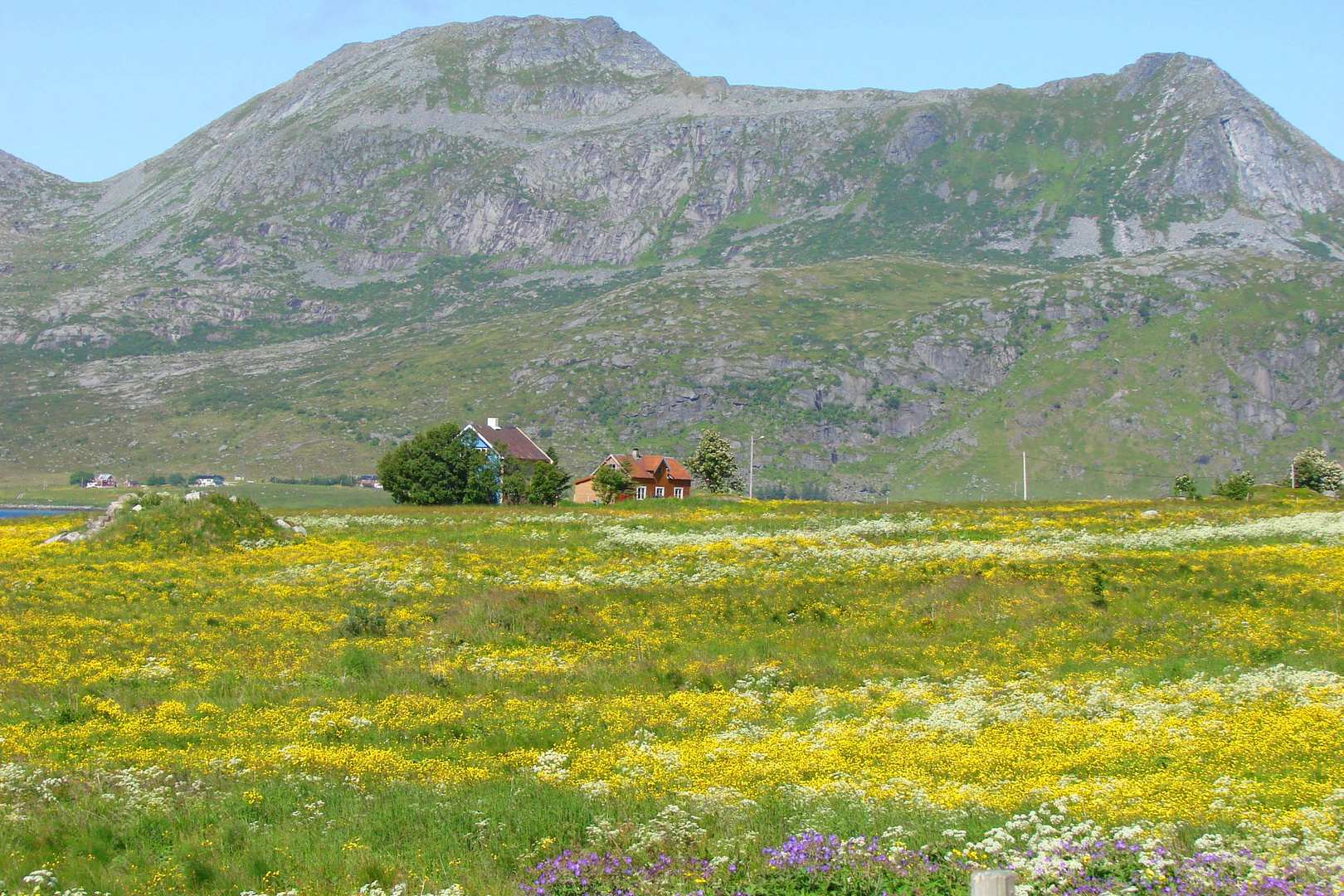 Blühende Landschaften