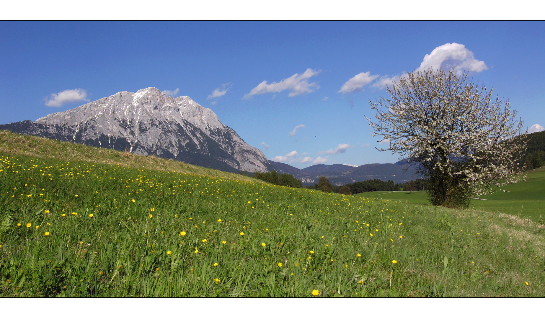 Blühende Landschaften ...