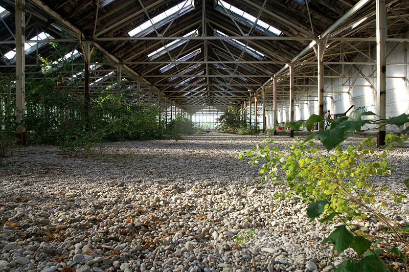 blühende landschaften