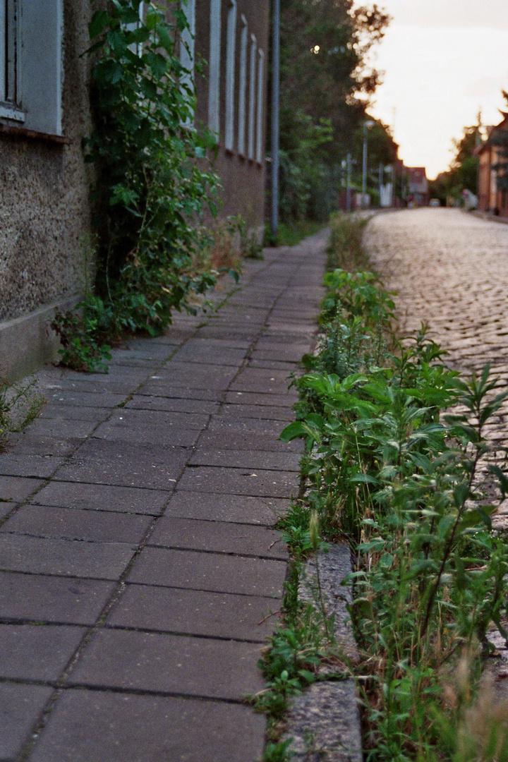 Blühende Landschaften