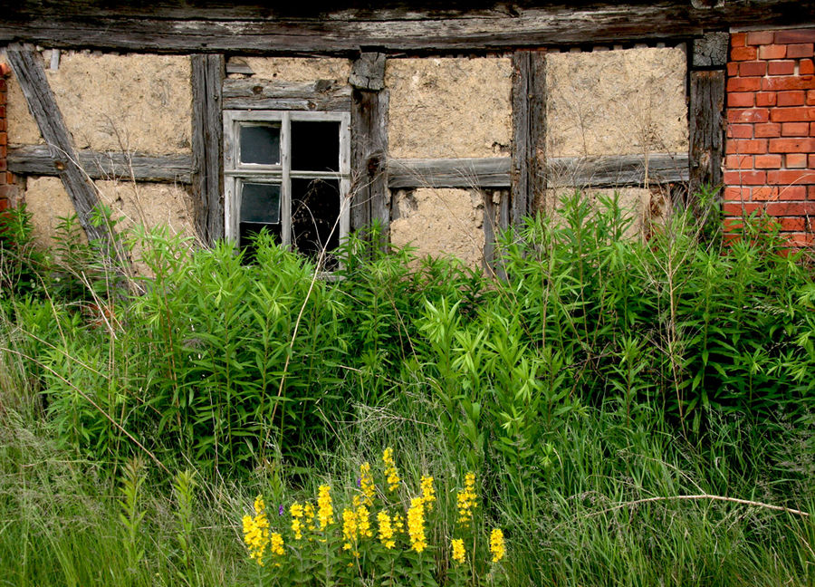 Blühende Landschaften