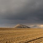 Blühende Landschaften