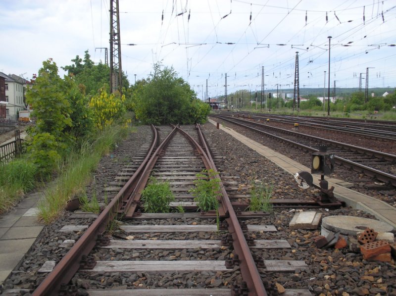 Blühende Landschaften