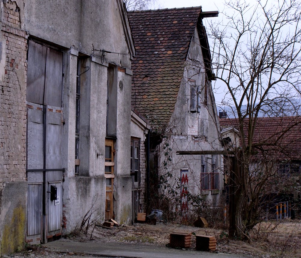 Blühende Landschaften ..