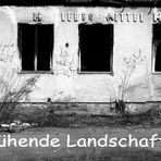 Blühende Landschaften ,Gebäude in Markranstädt (bei Leipzig)