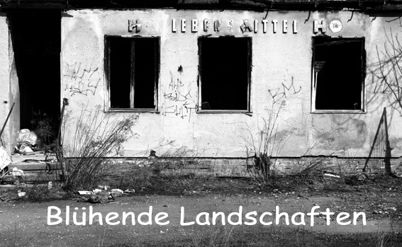 Blühende Landschaften ,Gebäude in Markranstädt (bei Leipzig)