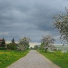 Blühende Landschaften im Frühlingsgewitter