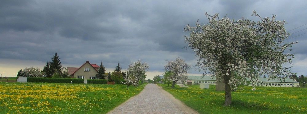 Blühende Landschaften im Frühlingsgewitter