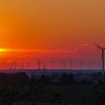 Blühende Landschaften oder Energiewende...