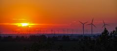 Blühende Landschaften oder Energiewende...