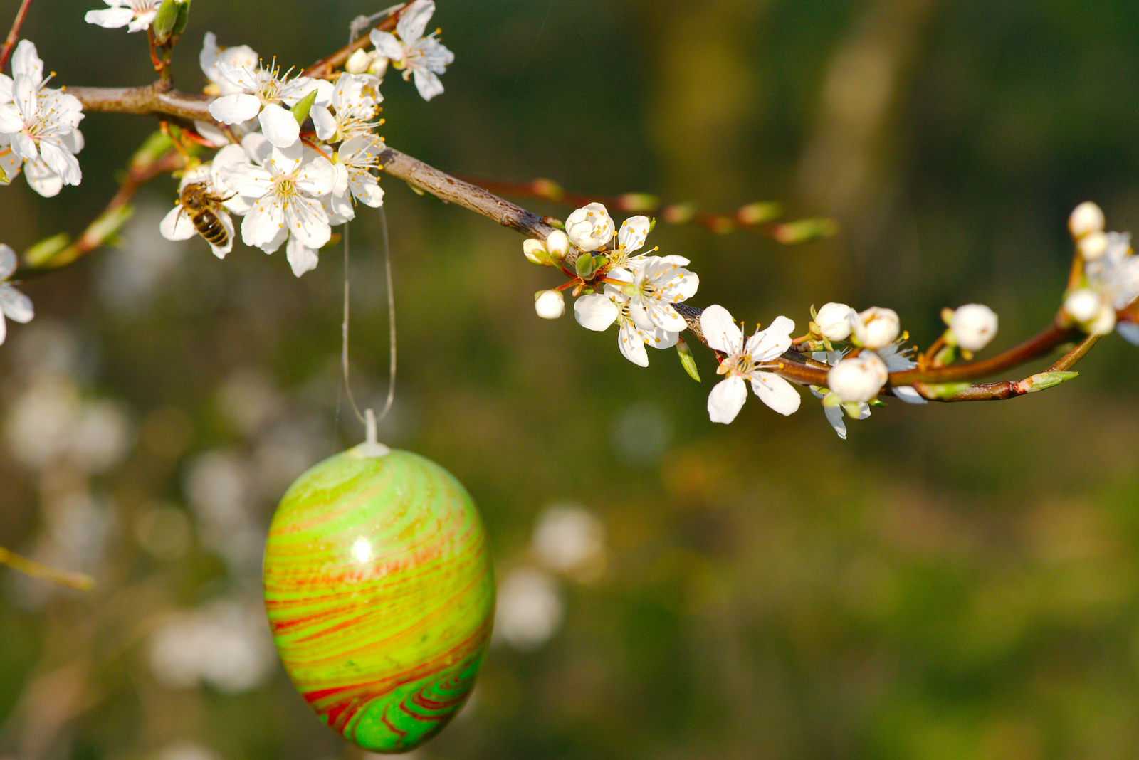 blühende Ostergrüße