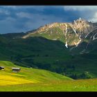 Blühende Seiseralm