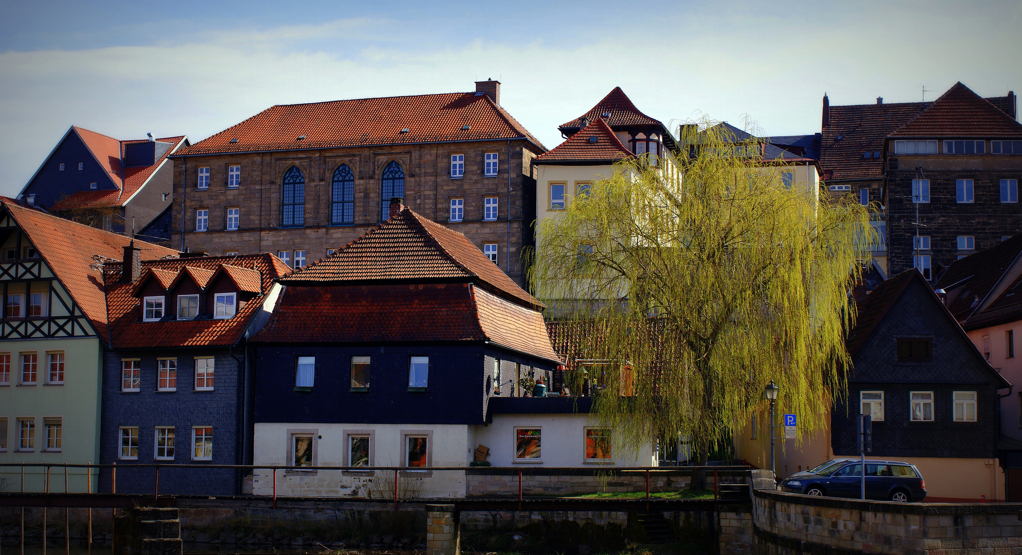 Blühende Trauerweide in der Stadt