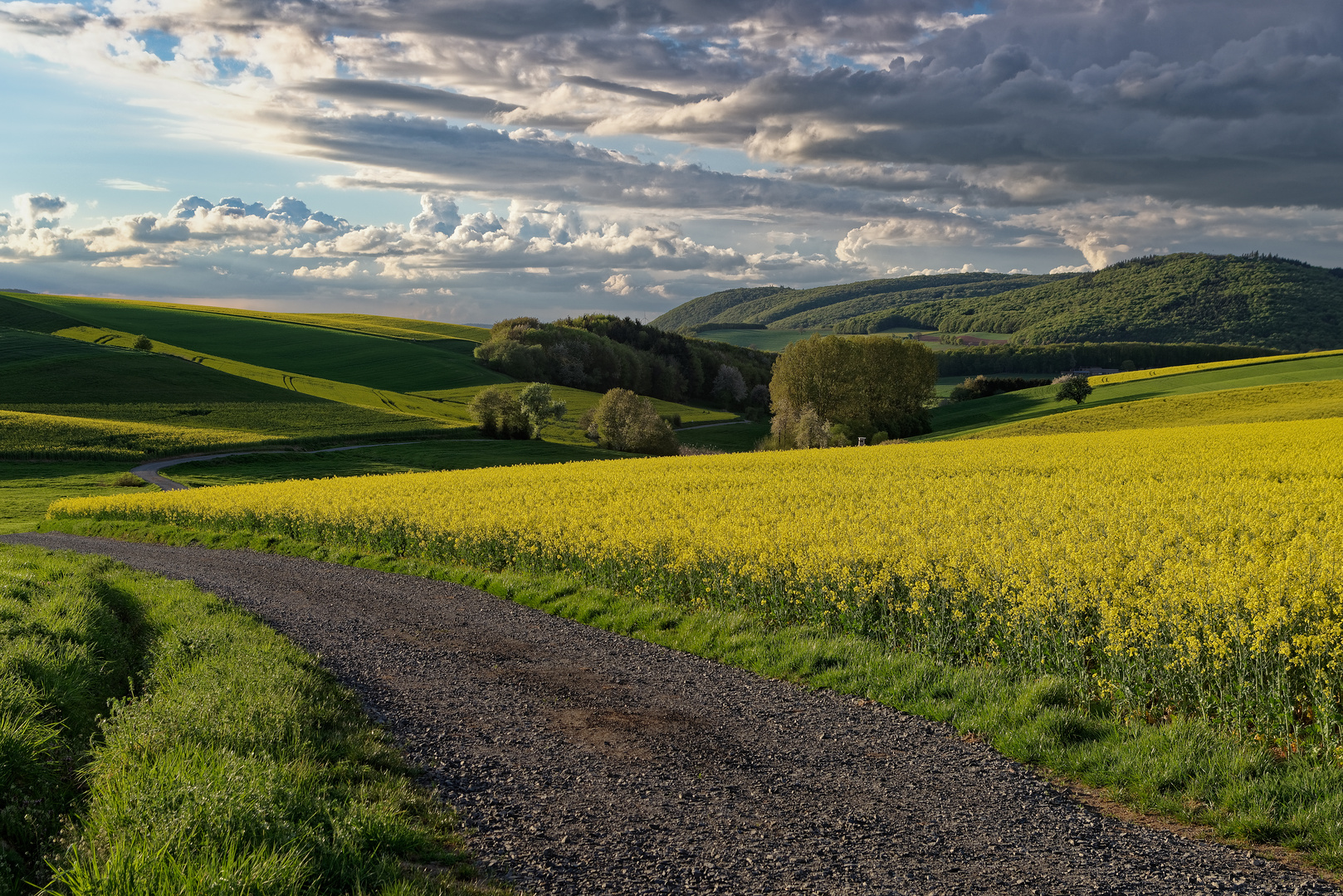 Blühende Westpfalz