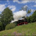 blühende Wiese in Unterneudorf