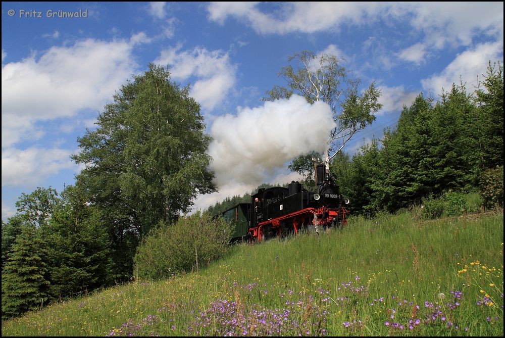 blühende Wiese in Unterneudorf