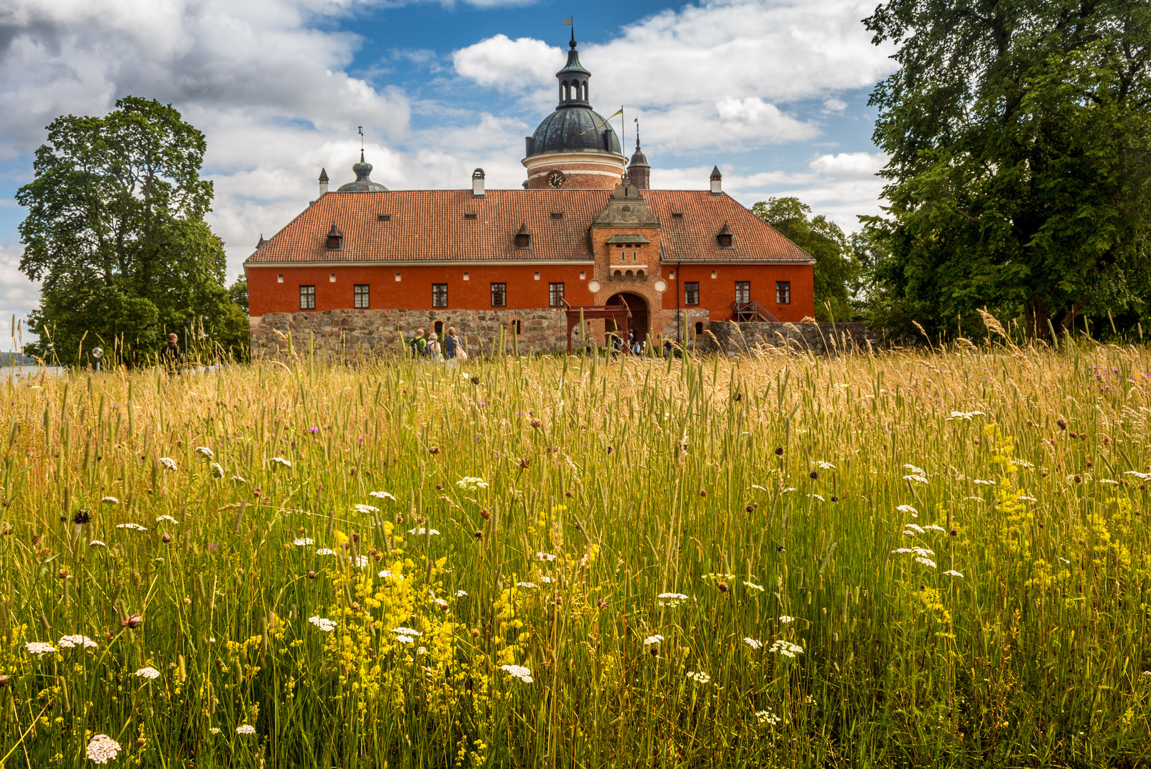 blühende Wiese vor Schloss Gripsholm