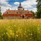 blühende Wiese vor Schloss Gripsholm