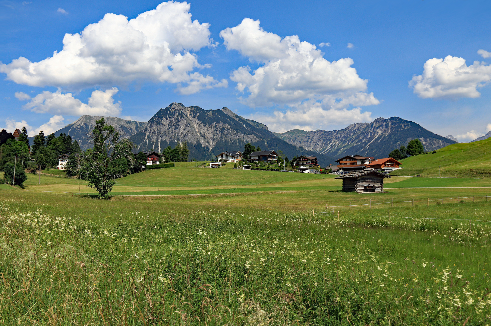 Blühende Wiesen und Berge