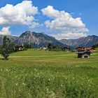 Blühende Wiesen und Berge