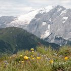 Blühende Wiesen und Schneeberge