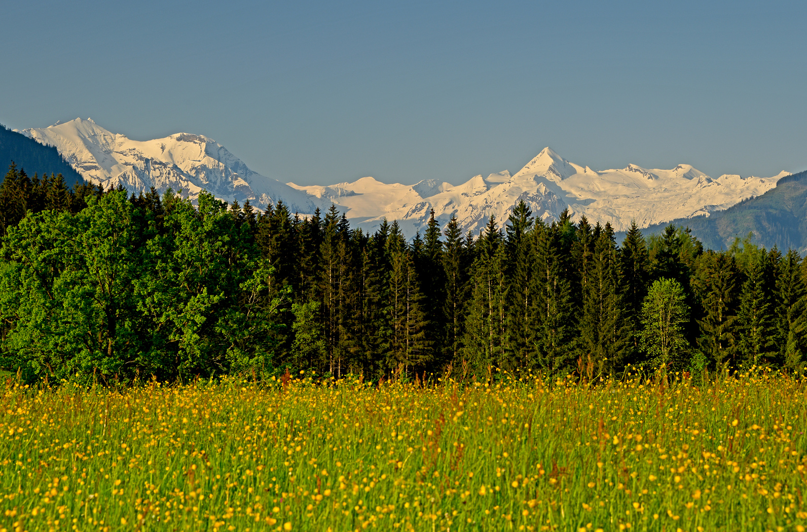 Blühende Wiesen - weise Berge