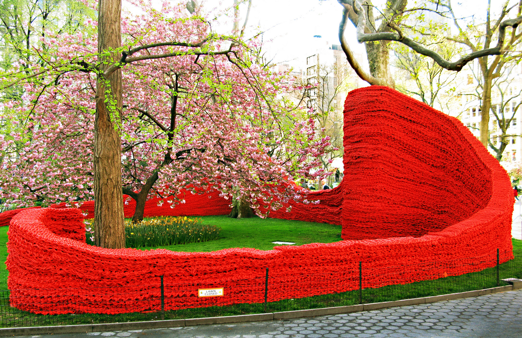 Blühender Baum in New York