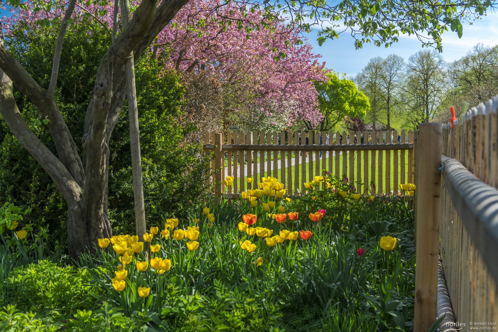 Blühender Garten