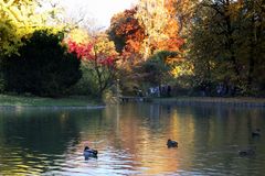 Blühender Herbst